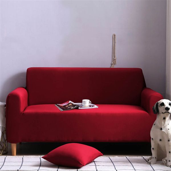 mascotas sofas vino rojo navidad