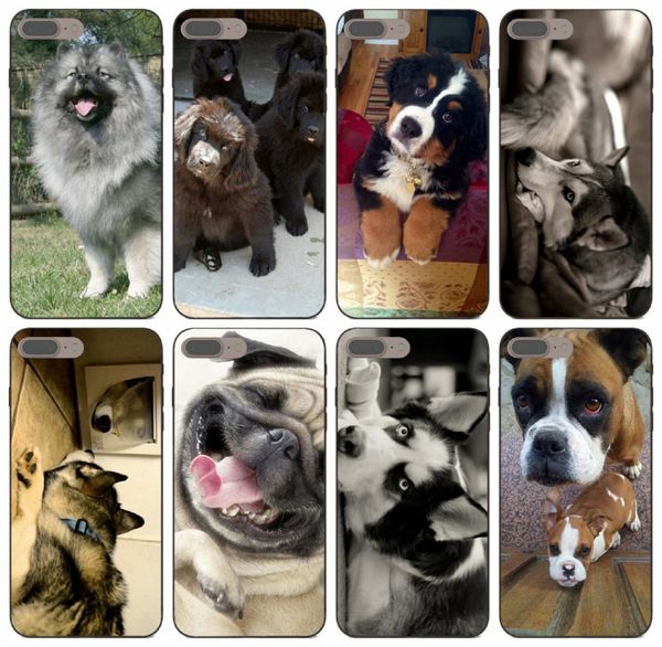 

[tongtrade] shut up and squat dog funny case for iphone 11 pro max x xs xr 8s 7s 6s 5 se samsung a5 honor 7 lite htc one m10 soft tpu case