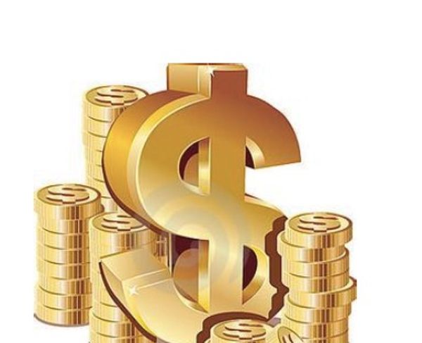 

Vip payment link price