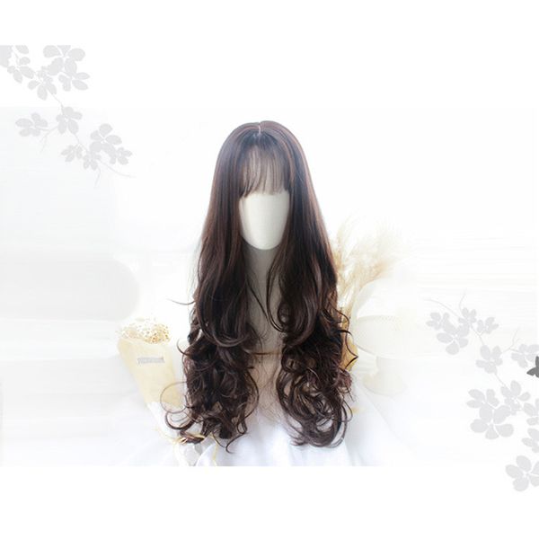 Europe And The United States Split Liu Hai Ladies Wig Headgear Black Gradient Grandma Gray Long Curly Hair Big Wave Wig Headgear Gabor Wigs Curly Lace