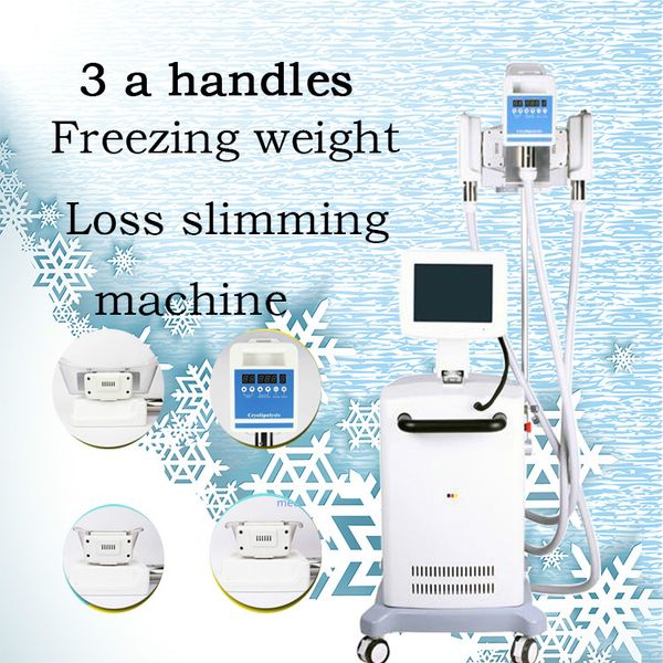 

result professional cryolipolysis weight loss 3 handles vacuum cold cryotherapy fat ing slimming machine