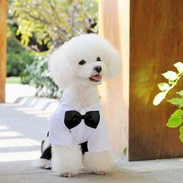 

pet собака кошки одежда принц галстук-бабочка костюм щенок костюм комбинезон пальто s-xxl