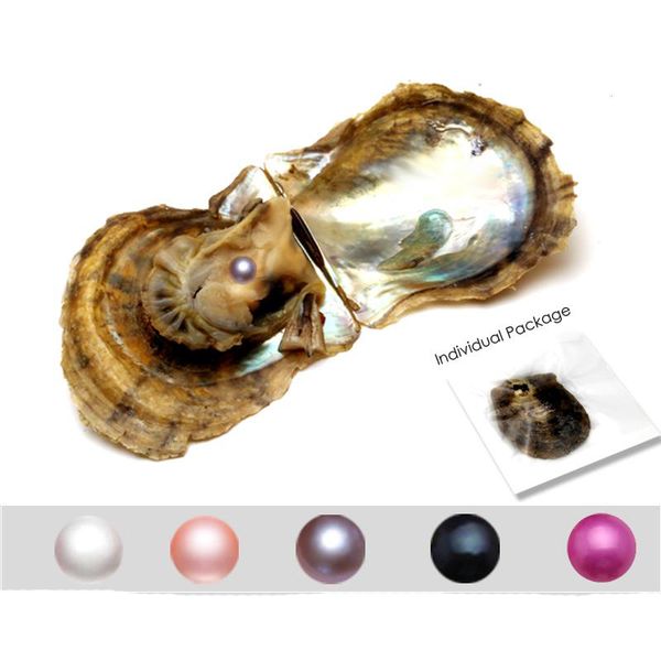 

wholesale 2020 new 6-7mm round natural pearl oyster 25 mix color seawater natural pearl gift diy loose decorations vacuum packaging, White