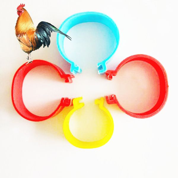 

100 pcs size poultry foot rings for turkey chicken duck and goose foot ring