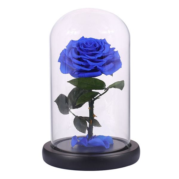 

new glass cover fresh preserved rose flower barbed rose flores for wedding marriage home party decoration valentine's day gift b