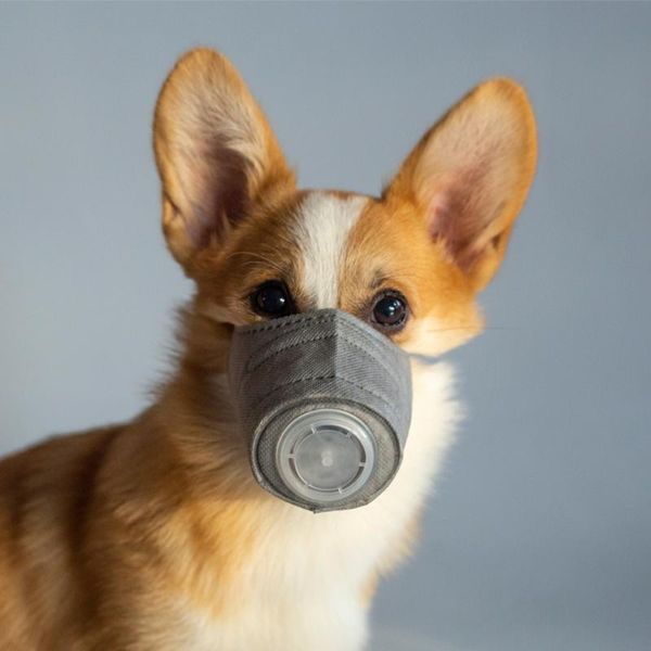 

10шт pet dog face masks anti fog pm2. 5 щенок рот дышащий хлопок регулируемая маска крышка защитная морда маска для лица для собаки