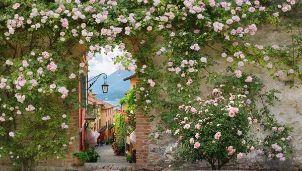 

овѬеменной гоиной обои ползоваелкие обои Ѭоз кѬаиве пейзажи обои он