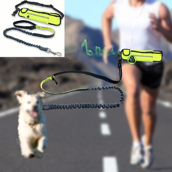 

pet dog leash collar waist waterproof pockets running jogging dog leads chain for large dogs puppy traction rope pet supplies