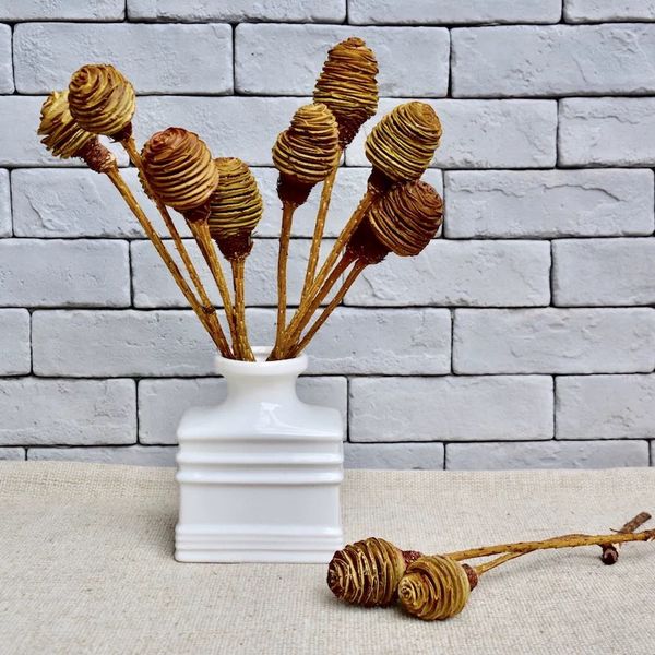 

6pcs/lot nature screw nut branch,dry flowers nature plant diy christmas wedding favor home floral decor ,eternelle rose fores