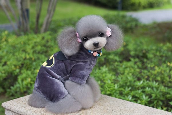 

2pcs pet clothes dog clothes pet clothing batman four-legged fleece dog coats jackets pants