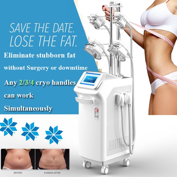 

cryotherapy fat e slim cryolipolysis body slimming machine lose weight body contouring fat ing machine 5 handles