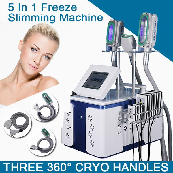 

2020 new type cryolipolysis machine 360 degree contact cooling cryolipolysis slimming fat ing slimming ce/dhl fast ing