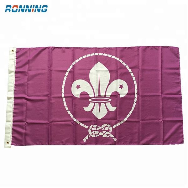Acquista la bandiera World Scout online, Nuge Boy Scouts of America World Scout Flag 3' X 5' Deluxe per interni ed esterni