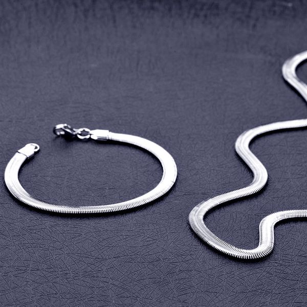 

6mm 316l stainless steel flat snake chain necklace bracelet fashion jewelry set for men and women drop shipping, Silver