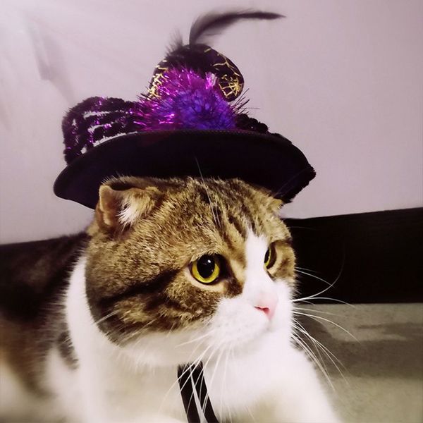 

halloween witch spider headbands by spooktacular creations for halloween party x4yd