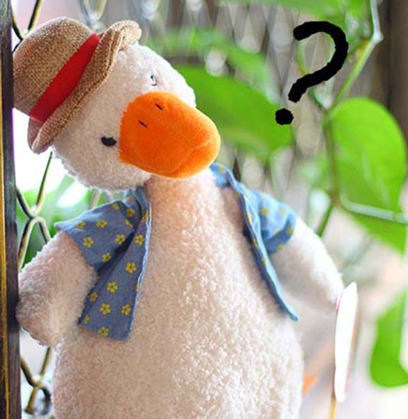 

stuffed plush animals super green big eyes stuffed tortoise turtle animal plush baby toy gift wy 039