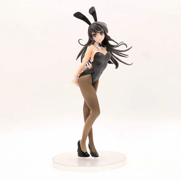 

the dream of adolescence fool not to be a student sister of rabbit girl