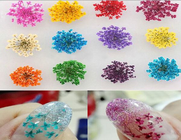 Dropshipping 12 pz/borsa Fiori Secchi Nail Art Fiori Secchi Reali Nail Art Sticker 3D Decorazioni FAI DA TE Suggerimenti Per Nail Art Diversi Colori
