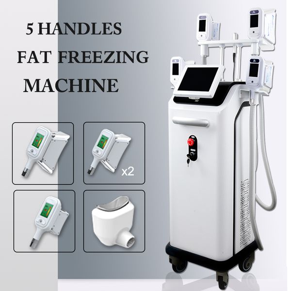 

dhl cryolipolysis machines fat ing body slimming machine vacuum weight loss cryotherapy cooling system device home use