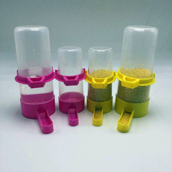 

bird automatic feeder . myna parrot drinking water organ down food