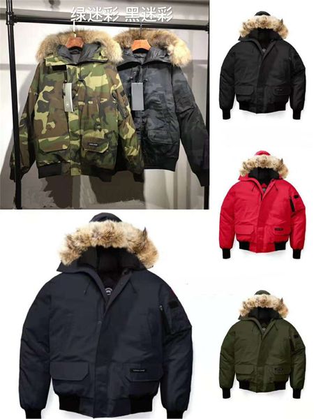 

Down e Parkas zjyangz