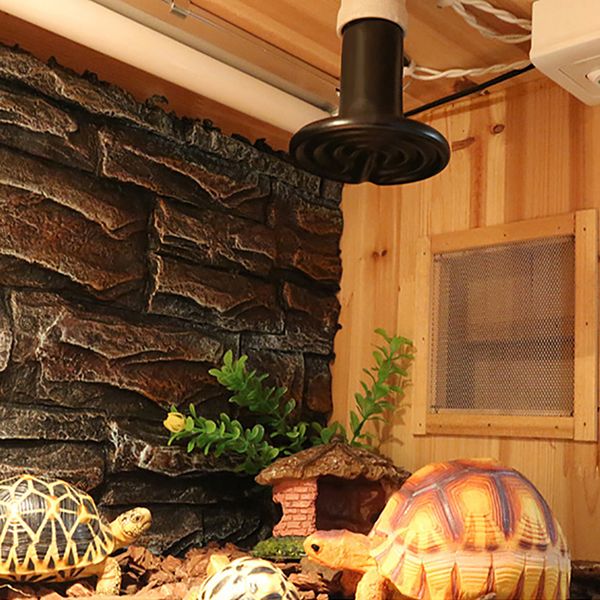 

25w / 50w / 75w / 100w pet нагѬеваелне ламп кђливиѬование кеѬамиека изоли ламп