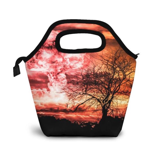 

customize printing portable lunch bag with aluminium alloy insulation for women, Blue;pink