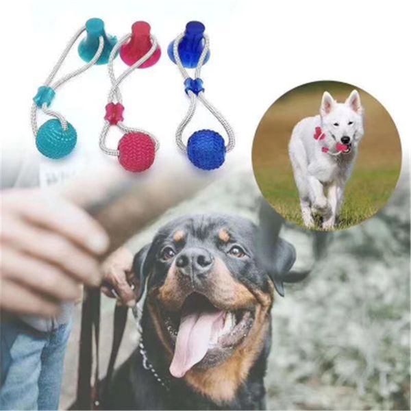 

wholesale multifunctional pet molar bite toy with sucker interactive dog toy rubber ball chew toy dog clean teeth