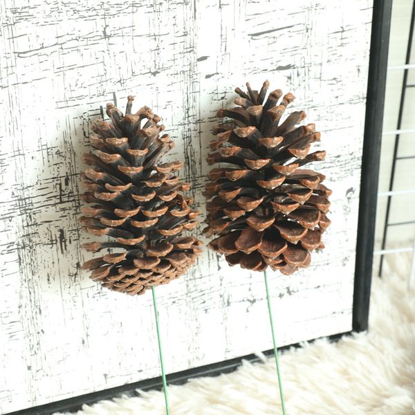 10pcs / lot Çok Büyük Doğal çam kozalağı Bitkiler Yapay Çiçekler Dekorasyon Bahçe Aromaterapi Malzeme Home For Noel Pine Cone