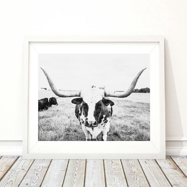 

longhorn cattle art canvas painting wall picture farm animal cow canvas art prints and poster home room mural country decor