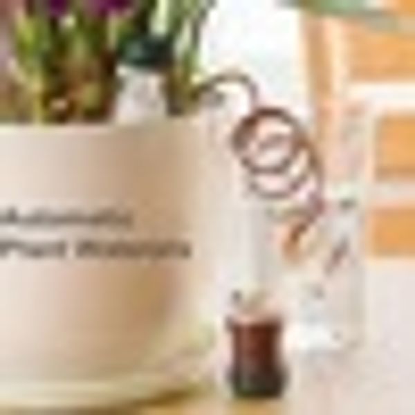 

creative garden tools automatic plant waterer indoor watering potted flowers drip irrigation device for houseplant 1pcs/2pcs