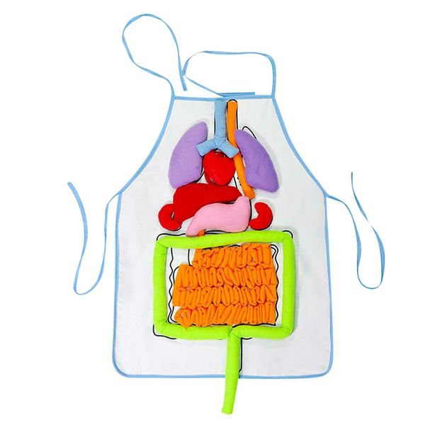 

child education organ apron anatomy apron for human body organ awareness educational l99