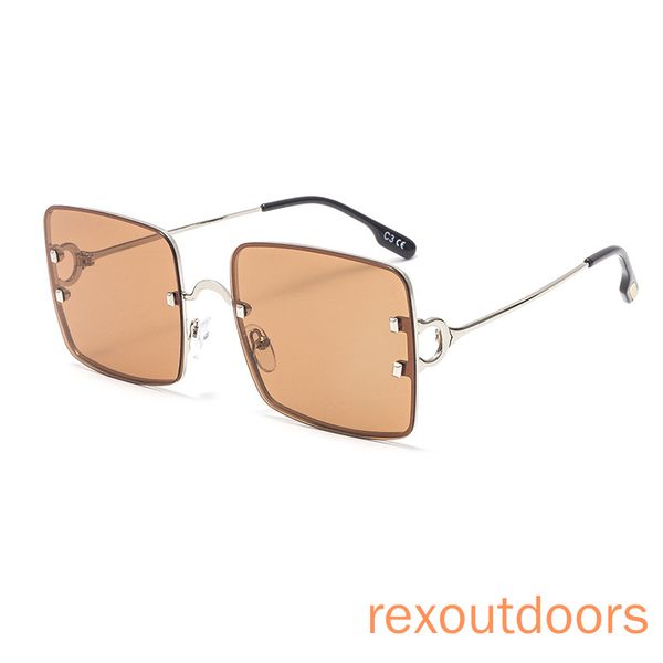 

trend polarized sunglasses for women 2020 new metal square sunglasses