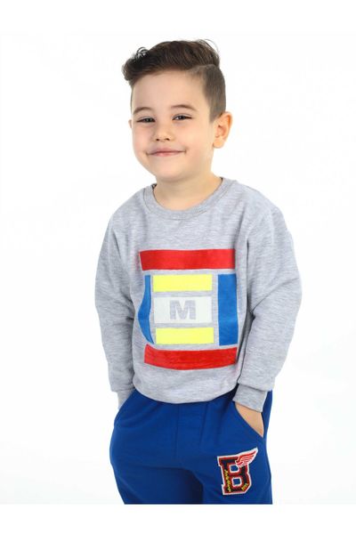 

Gray Seasonal Male Child Sweatshirt