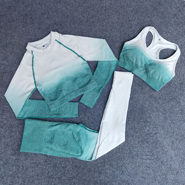 

april grass brand designer womens yoga suit three piece set 3 bra pants long sleeve sportwear tracksuits fitness indoor sport clothes woman, Gray