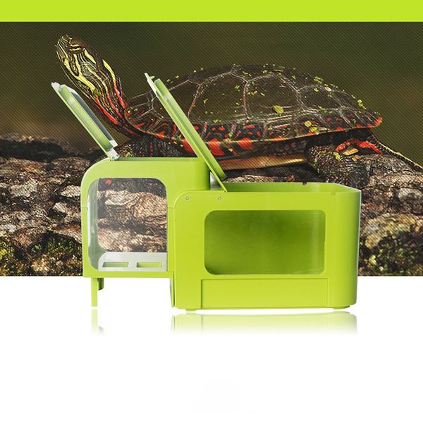 

рогатые лягушки turtle двухместный номер вилла клетка ванна transparent patio пруд аквариум баскин платформа декор рептилии амфибии хабитат