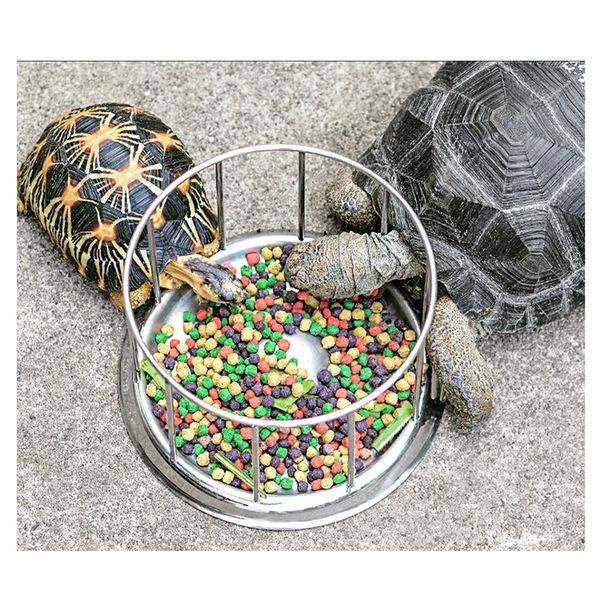 

нержавеющая сталь pet tortoise food bowl turtle воды еды поднос еды диспенсер для кормления инструмент