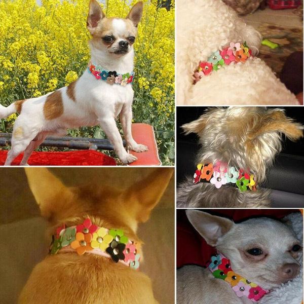 

dog harness vest flower shape dog collar universal leather studded necklaces for puppy dogs collar strap sale