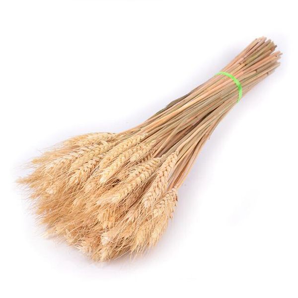 

decorative flowers & wreaths 50 pcs real wheat ear flower natural dried for wedding party decoration diy craft scrapbook home decor
