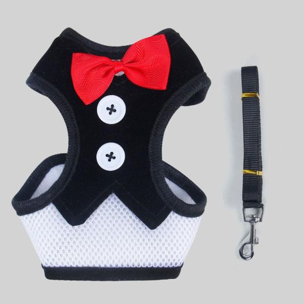 

dog clothes breathable small dog vest with buckle bow warm puppy jackets dogs apparel pet supplies 10 designs optional