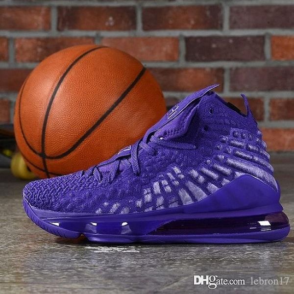 lebron james 17 purple