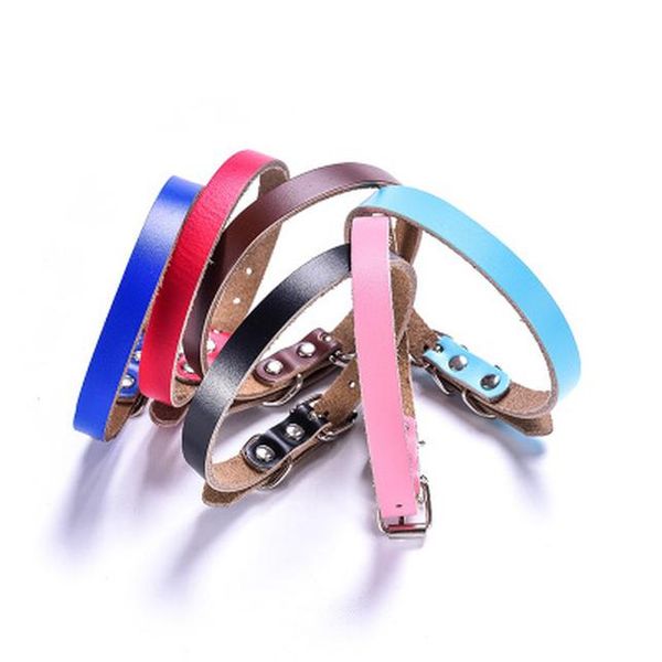 

pet with flat buckle dog chain collar bisque collares para perros high end dog collars dog accessories bdegarden kyirq