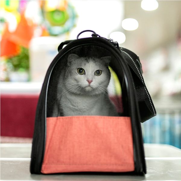 Astronaut Pet Cat Dog Puppy Carrier Travel Bag Space Capsule Backpack Breathable