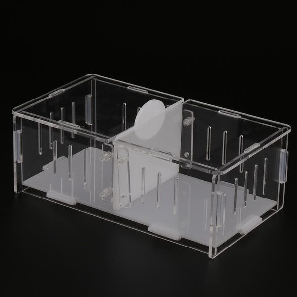 

spider insect cricket tank vivarium cage box acrylic terrarium clear cases