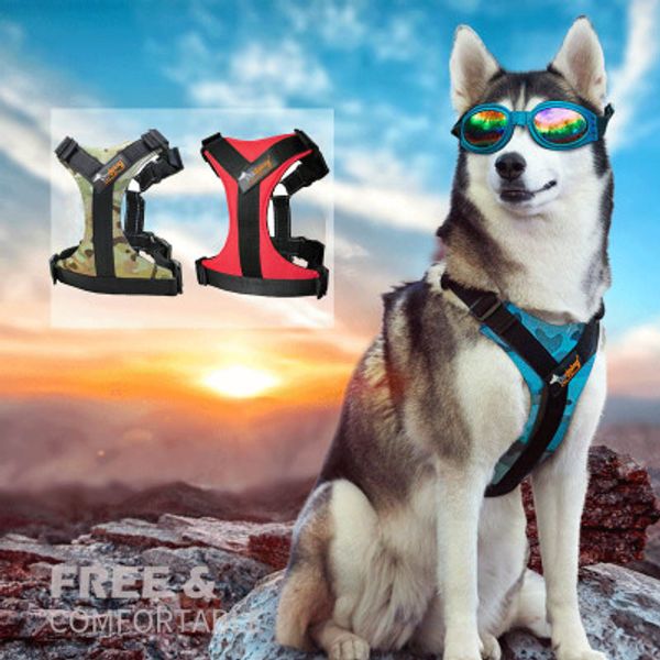 

2020 грудную клетку пользовательские fit собака проводка