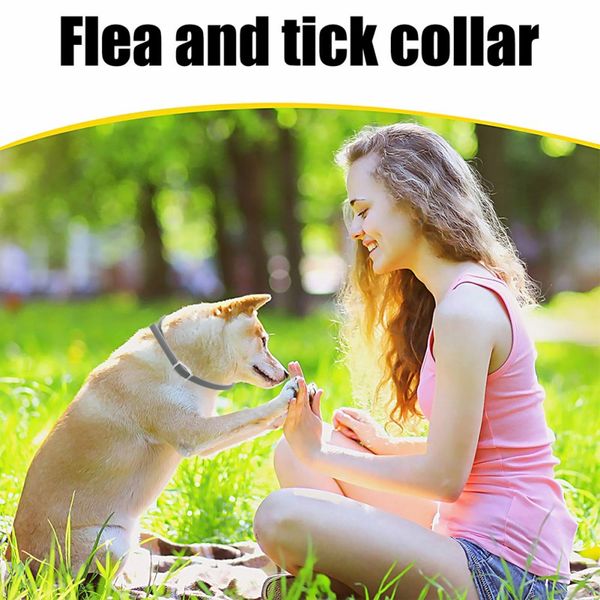 

natural flea collar for pets, 90 days flea and tick prevention treatment mosquito repellent