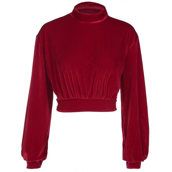 

women autumn turtleneck warm velvet sweater 2019 crop long sleeve hooded fashion women pullover, Black