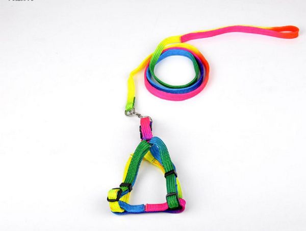 

dog rope colorful chest straps walk a dog ribbon