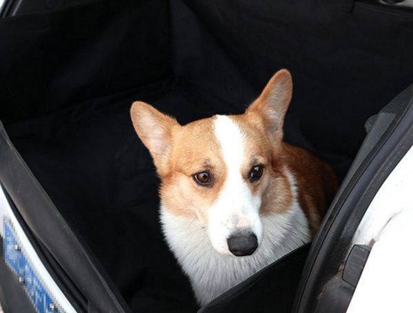 

pet mats car dog safety pad foldable car trunk mat oxford cat kennels pads waterproof car dog supplies cyw2355