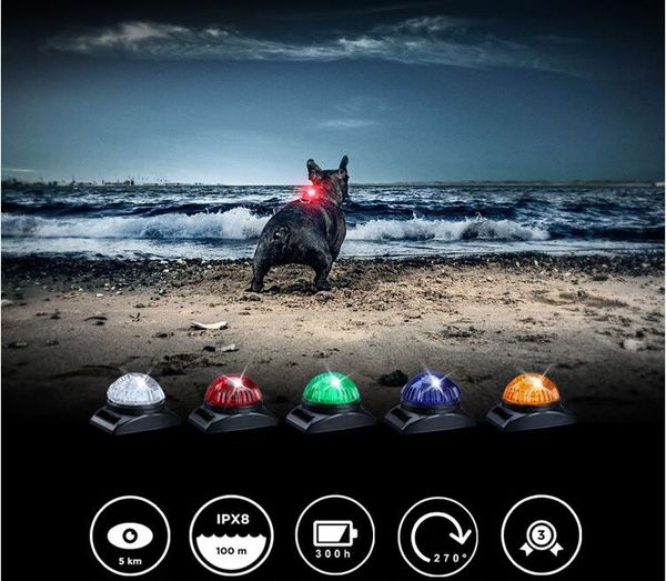 

dual flashing/solid safety led light for dogs - high visibility durable water proof impact resistant attach to harnesses & collar